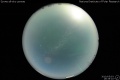 2010/5/3 19:35’10”