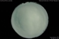 2010/5/4 22:28’10”