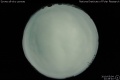 2010/5/4 22:28’40”