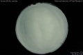 2010/5/4 22:29’10”