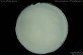 2010/5/4 22:51’40”