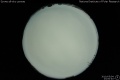 2010/5/4 23:00’40”