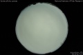 2010/5/4 23:03’40”