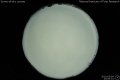 2010/5/4 23:09’10”