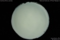 2010/5/4 23:10’40”