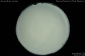 2010/5/4 23:11’40”