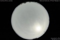 2010/5/5 02:50’10”