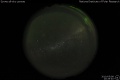 2010/5/8 20:29’40”
