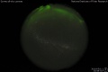 2010/5/11 23:58’34”