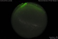 2010/5/12 00:01’04”