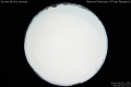 2010/5/24 21:00’10”