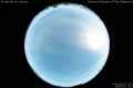2010/5/30 20:50’10”