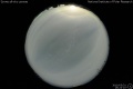 2010/5/31 16:24’10”