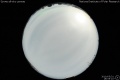 2010/5/31 18:55’10”