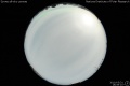 2010/5/31 18:59’10”
