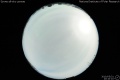 2010/5/31 20:10’10”