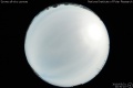 2010/5/31 20:30’10”