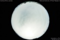 2010/6/1 03:40’10”
