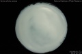 2010/6/1 19:56’40”