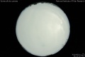 2010/6/1 21:41’10”