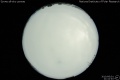 2010/6/1 21:41’40”
