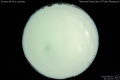 2010/6/1 21:44’10”