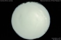 2010/6/1 21:46’40”