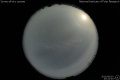 2010/6/2 20:24’40”