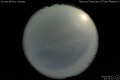 2010/6/2 20:25’10”