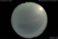 2010/6/2 20:29’10”
