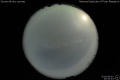 2010/6/2 20:30’40”
