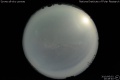 2010/6/2 20:49’40”