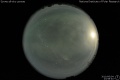 2010/6/4 23:58’40”