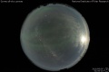 2010/6/5 01:00’10”