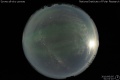 2010/6/5 01:02’10”