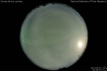 2010/6/5 01:49’10”