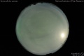 2010/6/5 01:53’10”