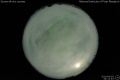 2010/6/5 04:12’40”