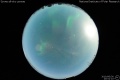 2010/6/30 20:51’10”