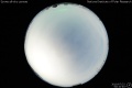 2010/7/22 00:10’40”