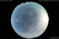 2010/7/29 21:00’10”