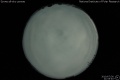 2010/7/30 21:55’40”