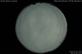 2010/7/30 21:57’40”