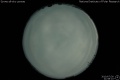 2010/7/30 21:58’10”