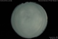2010/7/30 21:59’10”