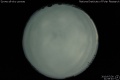 2010/7/30 21:59’40”