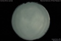 2010/7/30 22:00’40”