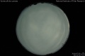 2010/7/30 22:01’10”