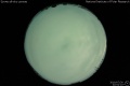 2010/7/30 22:51’10”