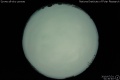 2010/7/31 01:30’40”
